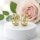 Goldfilled Antiallergische Ohrringe 16mm 14K Farbe