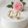 Goldfilled Antiallergische Ohrringe 14 mm 14K Farbe  