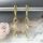 Goldfilled Antiallergische Ohrringe 50mm 14K Farbe