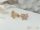 Goldfilled Antiallergene Ohrringe 9mm 18K Farbe	
