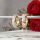 Goldfilled Antiallergische Ohrringe 20mm 14K Farbe