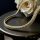 Goldfilled Antiallergisches Luxus Halskette 45cm Lang und 7mm Breit Farbe 14K